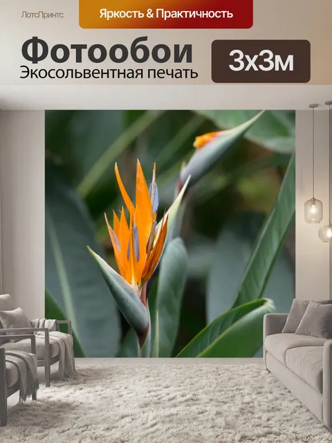 Фотообои Стрелиция