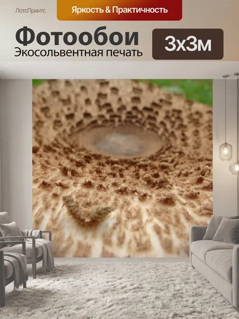 Фотообои Гриб
