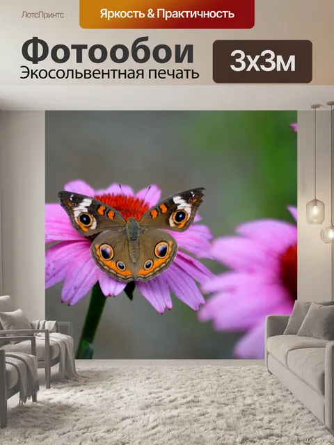 Фотообои Бабочка на цветы