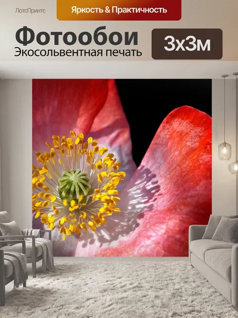 Фотообои Мак