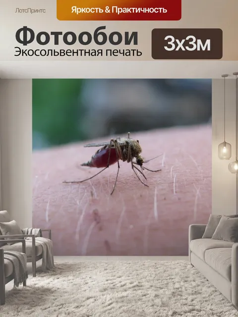 Фотообои Комар