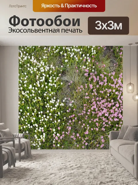 Фотообои Горные цветы