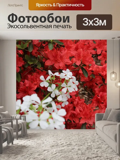 Фотообои Красный