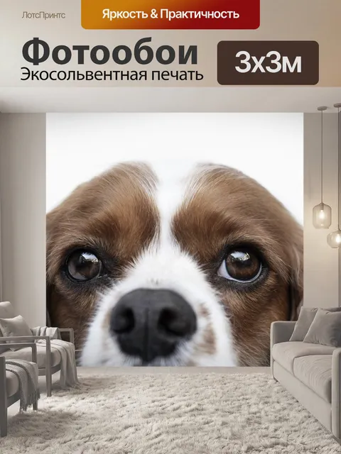 Фотообои Собака