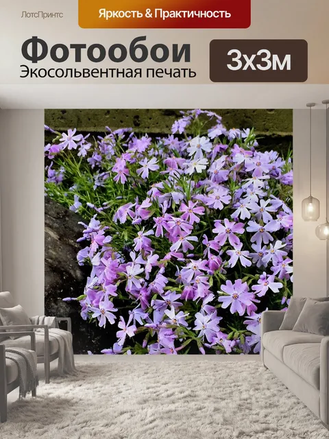 Фотообои Ползучий флокс