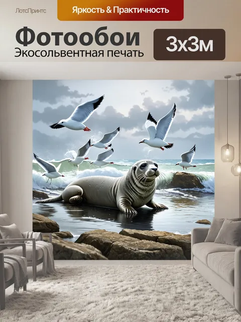 Фотообои вдали на скалистом побережье, серый тюлень, покрытый каплями воды, лежит на большом камне