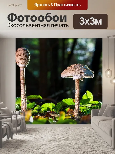 Фотообои Гриб
