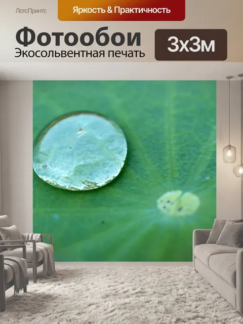 Фотообои Цветок лотоса