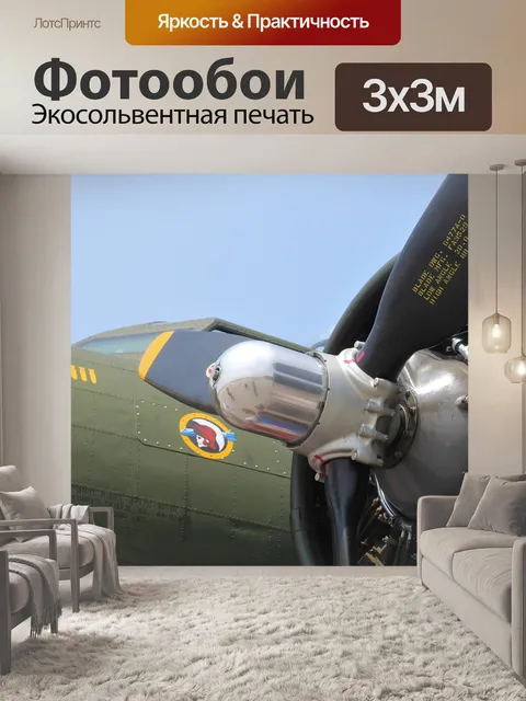 Фотообои Бомбардировщик