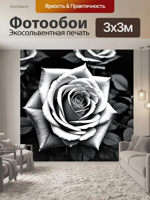 Фотообои черно-белые розы с ярким акцентом