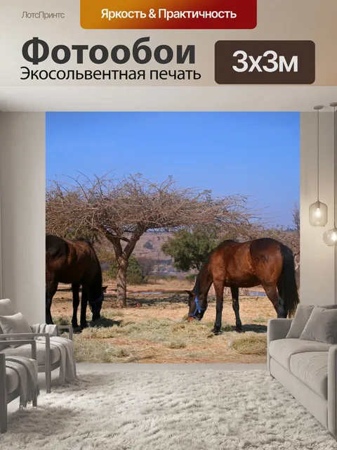 Фотообои добавка для выпаса двух коричневых лошад