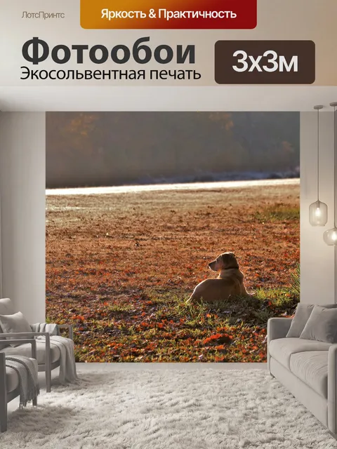 Фотообои Хранитель
