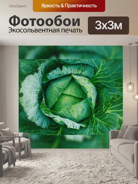 Фотообои Салат с капустой и овощами