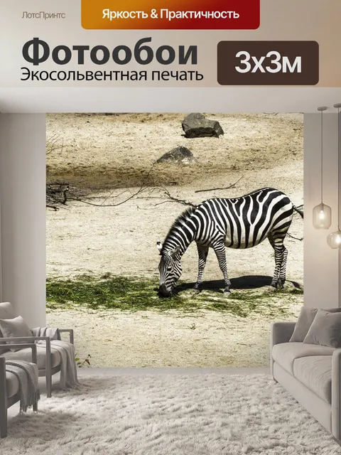 Фотообои Зебра