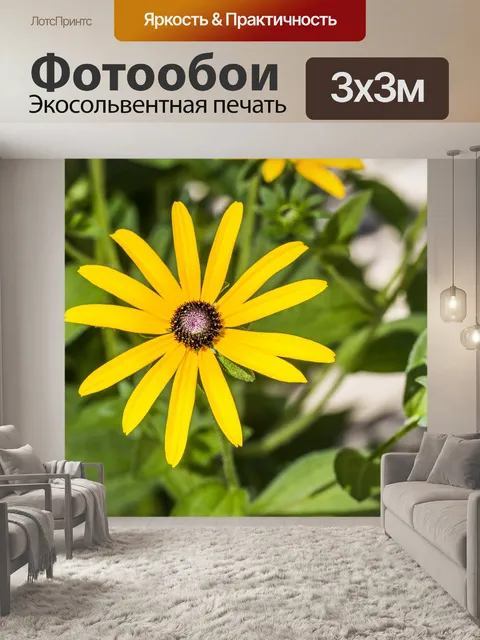 Фотообои Цветок