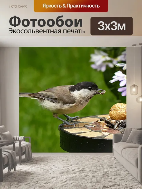 Фотообои Каменная синица