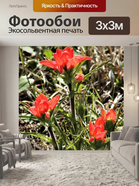 Фотообои Индийская кисть полевые цветы 3