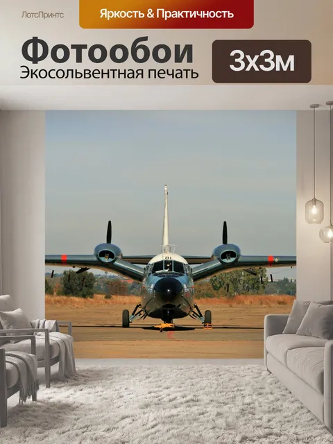 Фотообои стационарные Piaggio Albatros