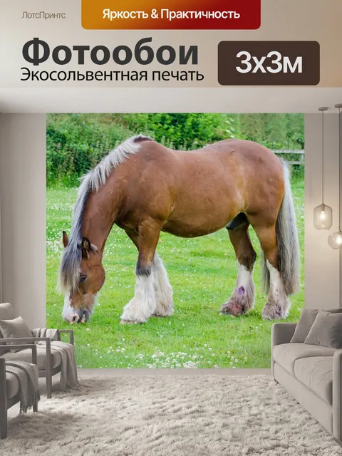 Фотообои животное