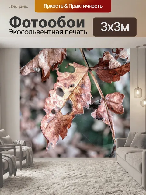 Фотообои Падение