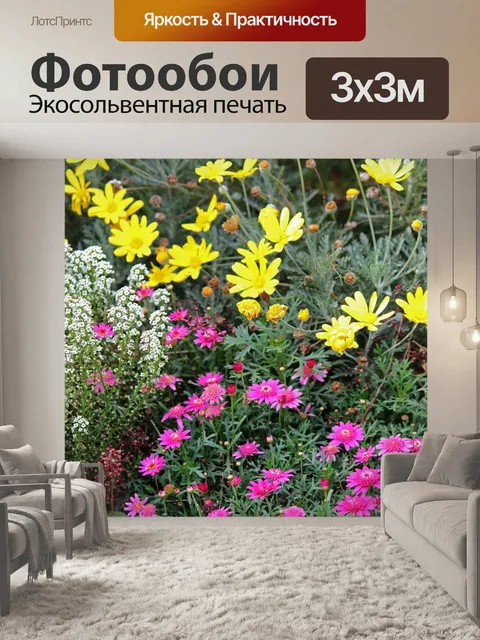 Фотообои желтые и розовые ромашки