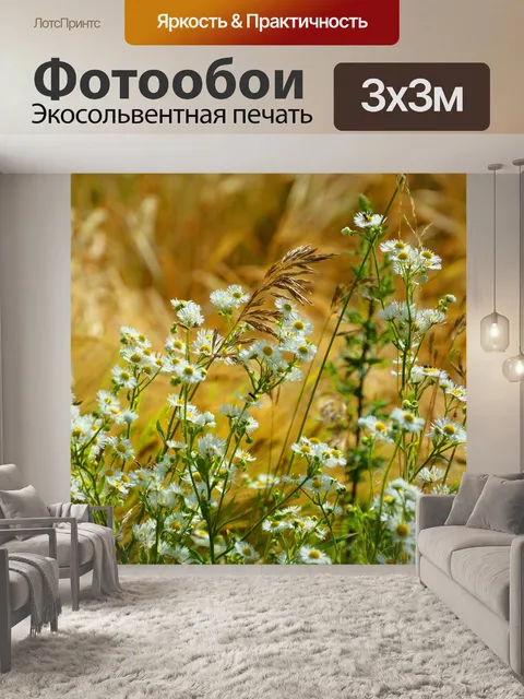 Фотообои Поле