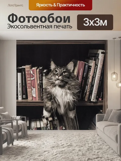 Фотообои Мейн кун