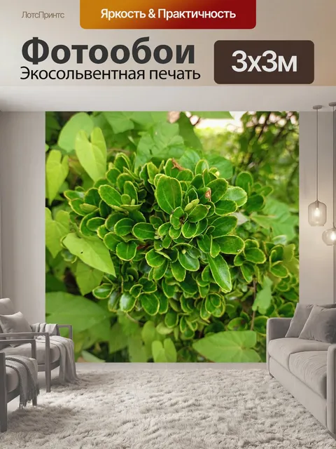 Фотообои Калейдоскоп растений