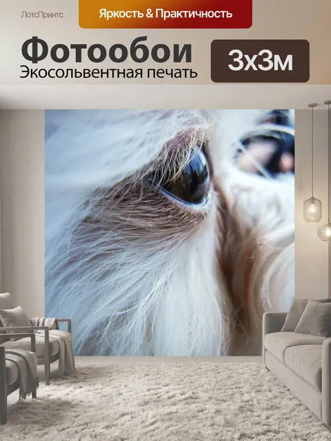 Фотообои Белый Pomapoo