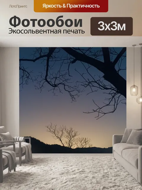 Фотообои Сумерки