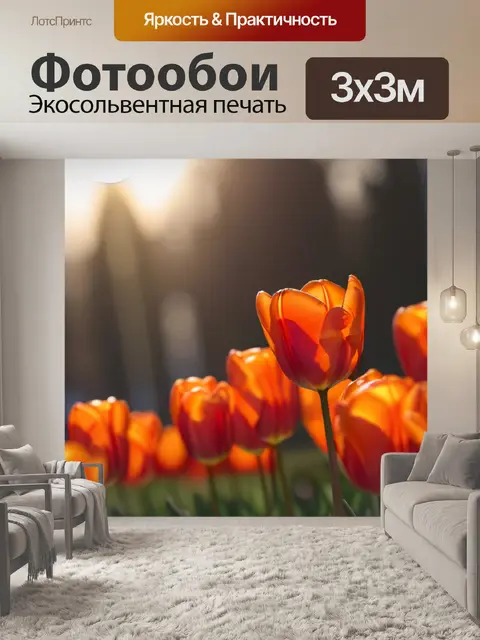 Фотообои яркие оранжевые тюльпаны под солнцем
