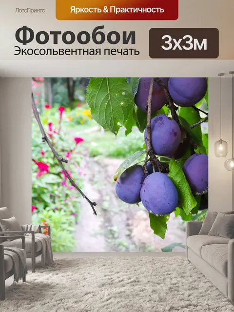 Фотообои Чернослив