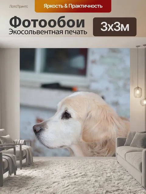 Фотообои Собака