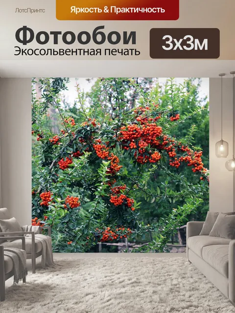 Фотообои Ягоды