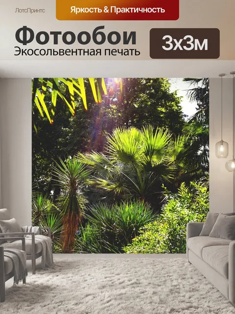 Фотообои Пальмы
