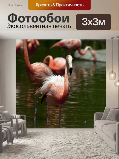 Фотообои Фламинго
