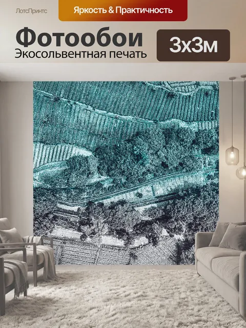 Фотообои Лес