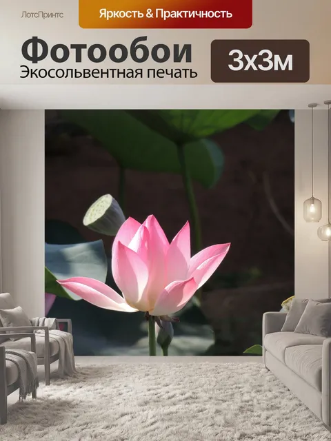 Фотообои Лотос