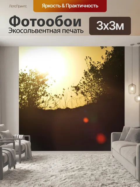 Фотообои Заход солнца