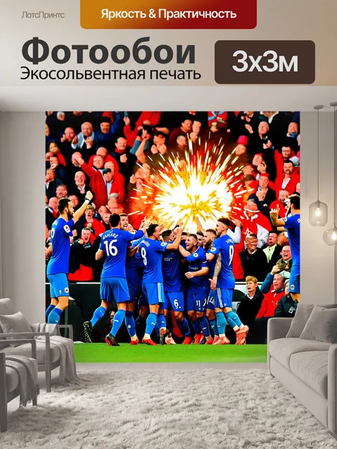 Фотообои сцена из финального матча европейского чемпионата