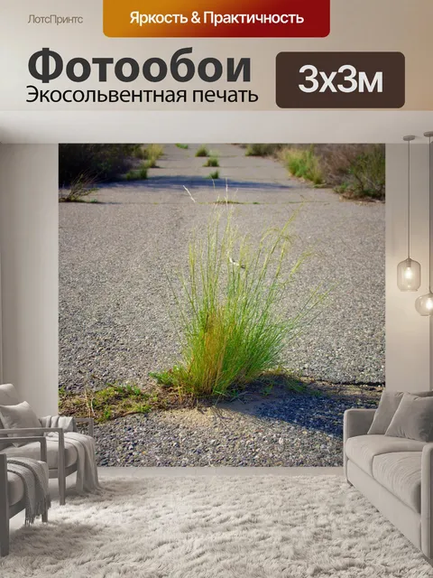 Фотообои Стебли травы в дороге