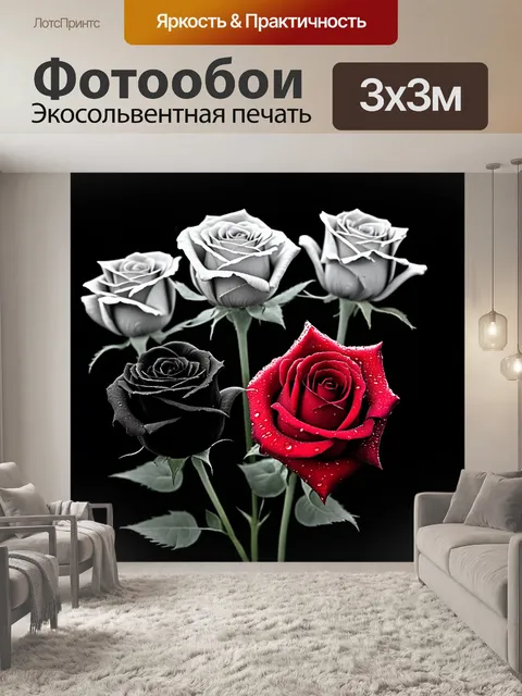Фотообои Чёрно-белая фотография пяти черно-белых роз в росе