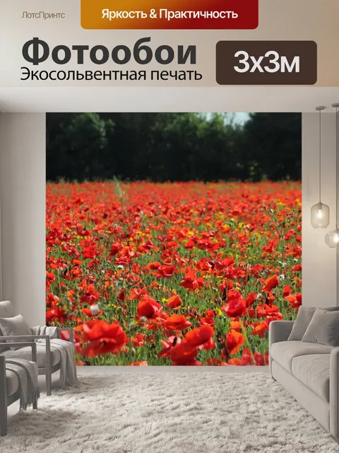 Фотообои Маковое поле