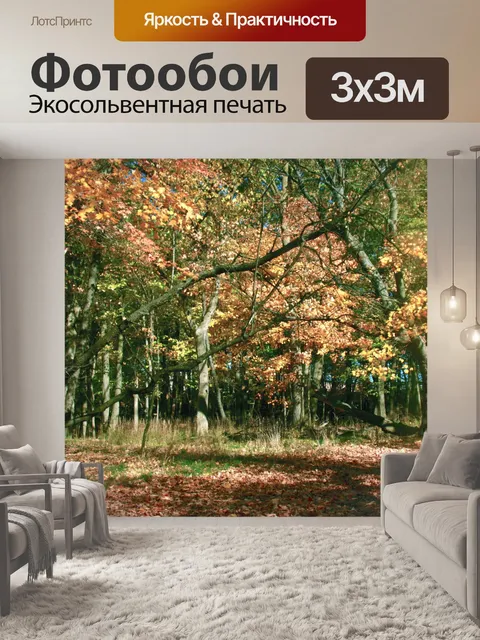 Фотообои Падение Лесные сцены
