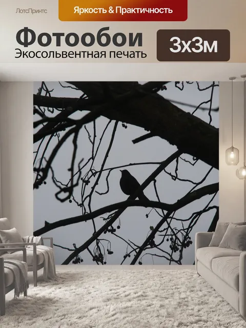 Фотообои Туман