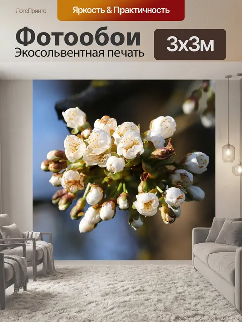 Фотообои Яблоневый цвет