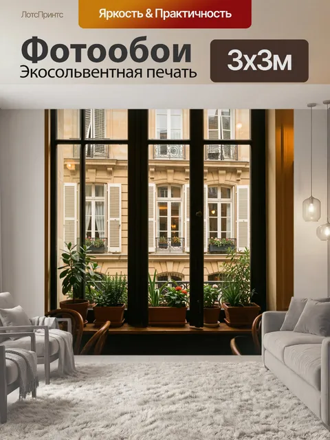 Фотообои Вид из окна на парижский двор