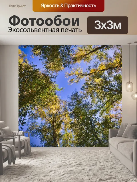 Фотообои Верхушки деревьев
