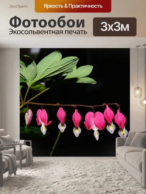 Фотообои Плачущее сердце