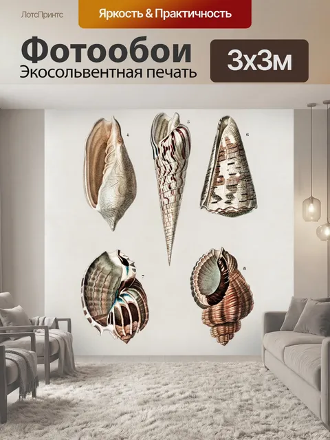 Фотообои Ракушки винтаж искусство старый